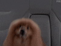Barking X Files GIF by The X-Files