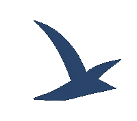 Mouette Sticker by Saint Benoît