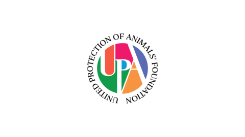 Upa Sticker by upafoundation