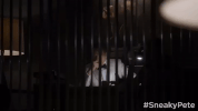 season 1 GIF by Sneaky Pete