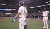 Home Run Hug GIF by Toronto Blue Jays