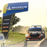 Erc GIF by FIA European Rally Championship