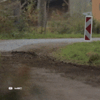 Racing Driving GIF by FIA World Rally Championship