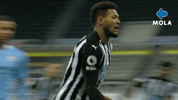 Premier League Football GIF by MolaTV