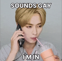 Gay Stray Kids GIF