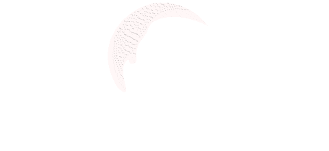 Planeta Sticker by Família Salton