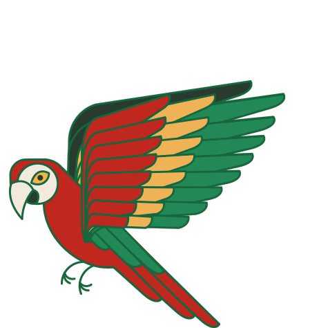 Kakawcoplus giphyupload flying social colombia Sticker