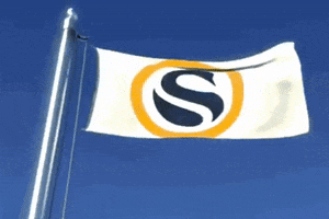 swanbitcoin crypto bitcoin ethereum finance GIF