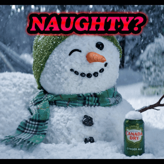 Naughty Or Nice GIF by Canada Dry Ginger Ale