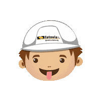 Ecuador Hyundai Sticker by Fatosla C.A.