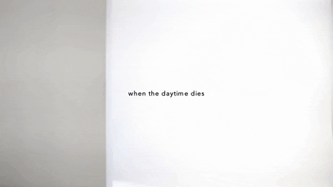 guillaumchaigne giphygifmaker GIF