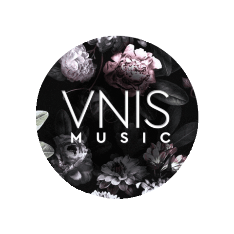 Vnis Music Sticker by VNIS