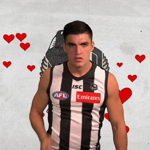 collingwoodfc giphyupload pies collingwood magpies GIF