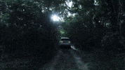 LandRover forest discovery offroad woods GIF