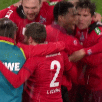 1 Fc Cologne Football GIF by 1. FC Köln