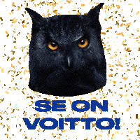 Sinebrychoff goal suomi euro 2020 jalkapallo Sticker