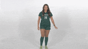 Huntington University GIF by FDN Sports
