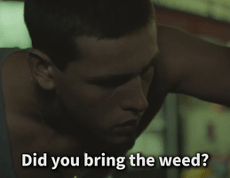 Weed?