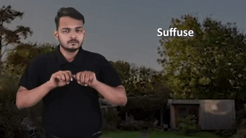 Sign Language GIF by ISL Connect