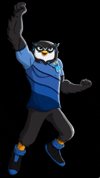 CapitalFutebol futebol capital coruja GIF