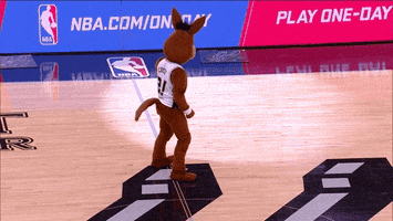 excited san antonio spurs GIF by NBA