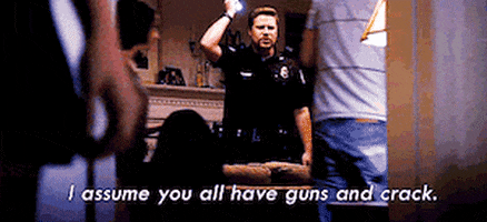 seth rogen cops GIF