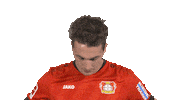 Bayer 04 Hello Sticker by Bundesliga