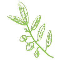 Plant Leaf Sticker by Blister Balm