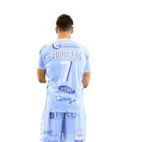 cchartresmhb sport handball balonmano lnh Sticker