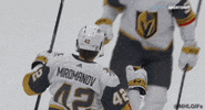 Happy Ice Hockey GIF by NHL