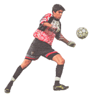 Gianluigi Buffon Sticker by Parma Calcio 1913