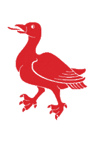 Sargans Sticker by FCS