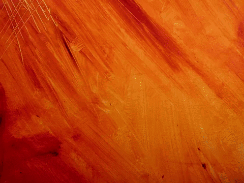 richfendler giphyupload GIF
