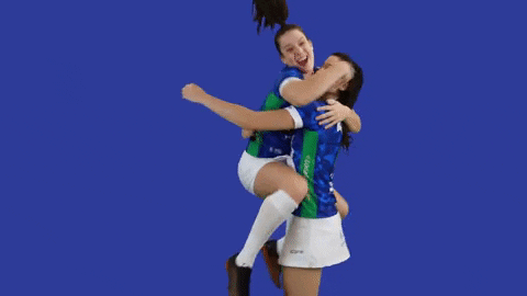 Volleyball GIF by Minas Tênis Clube