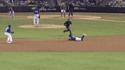 GIF by St. Paul Saints