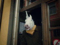 SofiaInternationalFilmFestival unicorn 25 forbidden sofia film festival GIF
