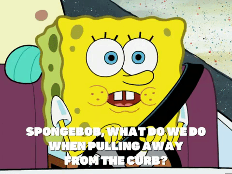 season 6 boating buddies GIF by SpongeBob SquarePants