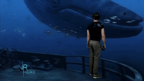 Virtual Reality Sea GIF by VR Here