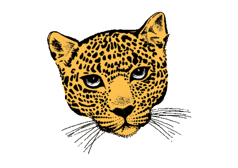 Tiger Love Sticker by EVA