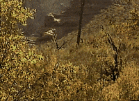 Waysides GIF by Bedouine