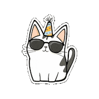 joyogram anime cat happy birthday party hat Sticker