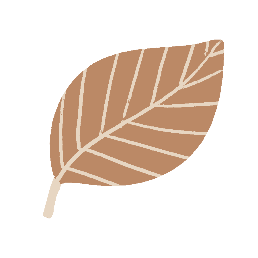 Design Plant Sticker by zandraart