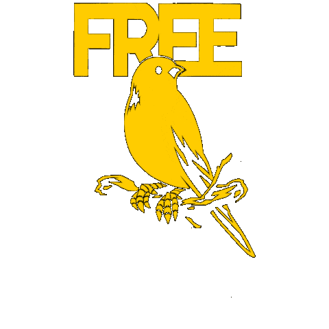 PandaKongArt bird birds lis free bird Sticker