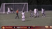 PRCCAthletics soccer wildcats juco prcc GIF