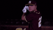 PRCCAthletics baseball college baseball mississippi juco GIF