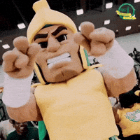 Dance Mascot GIF by Norfolk State University