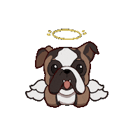 enderuncolleges jango enderun enderun colleges enderun dog Sticker
