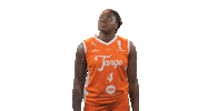 Basketball Sticker by Tango Bourges Basket