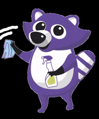 clubmeineliebe raccoon любовь енот чистота GIF