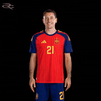 Fifa World Cup Spain GIF by Respective
